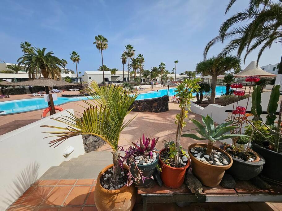 Apartamento Taisa Playa Roca Коста Тегисе Екстериор снимка